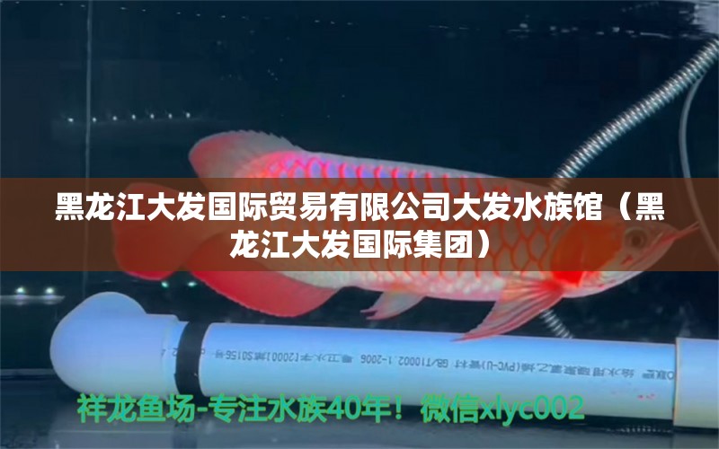 黑龙江大发国际贸易有限公司大发水族馆（黑龙江大发国际集团） 全国水族馆企业名录