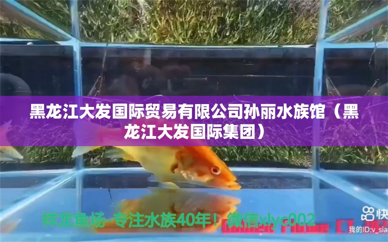 黑龙江大发国际贸易有限公司孙丽水族馆（黑龙江大发国际集团）