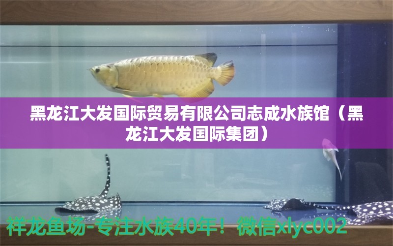 黑龙江大发国际贸易有限公司志成水族馆（黑龙江大发国际集团） 全国水族馆企业名录