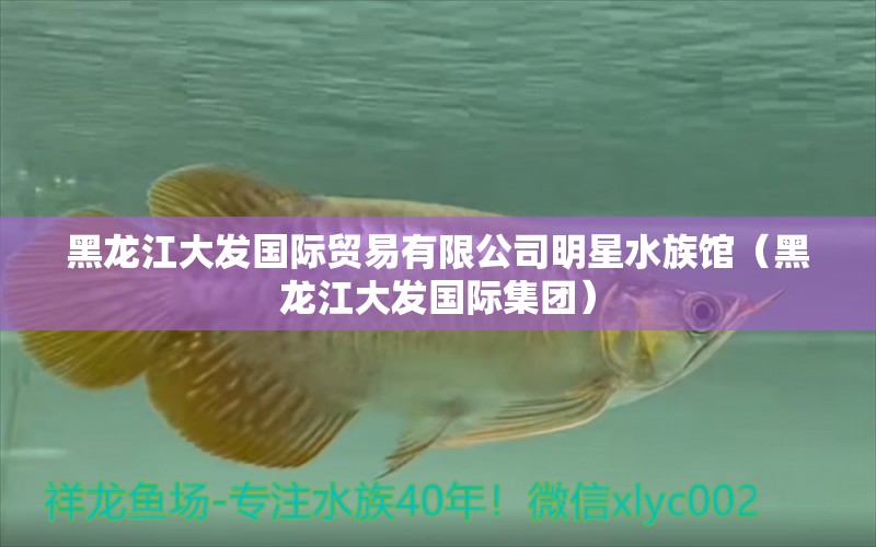 黑龙江大发国际贸易有限公司明星水族馆（黑龙江大发国际集团）