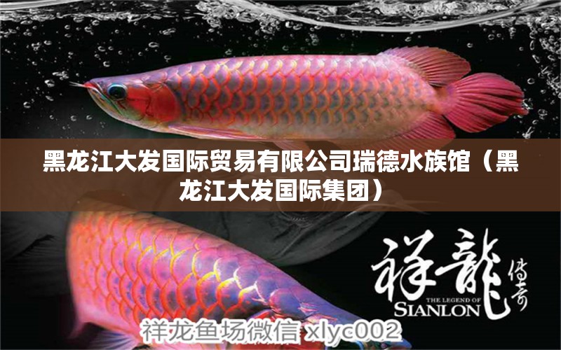 黑龙江大发国际贸易有限公司瑞德水族馆（黑龙江大发国际集团） 全国水族馆企业名录