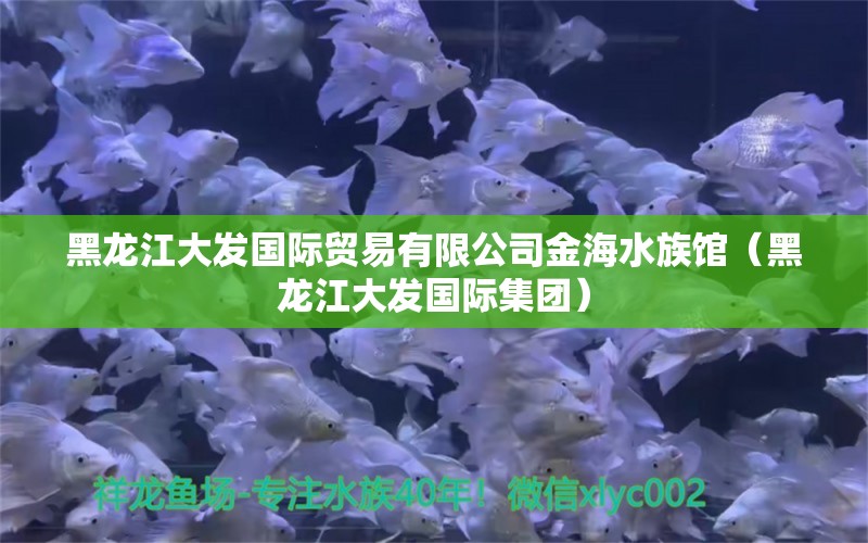 黑龙江大发国际贸易有限公司金海水族馆（黑龙江大发国际集团） 全国水族馆企业名录