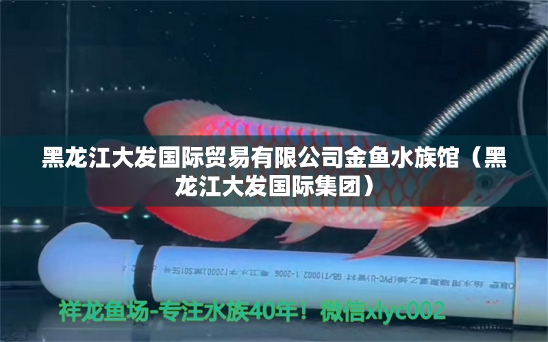 黑龙江大发国际贸易有限公司金鱼水族馆（黑龙江大发国际集团）