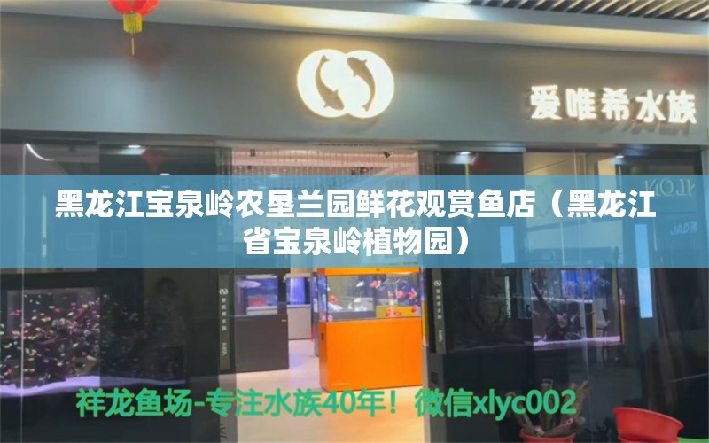 黑龙江宝泉岭农垦兰园鲜花观赏鱼店（黑龙江省宝泉岭植物园）