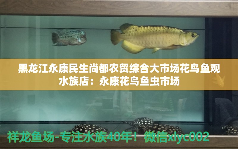 黑龙江永康民生尚都农贸综合大市场花鸟鱼观水族店：永康花鸟鱼虫市场