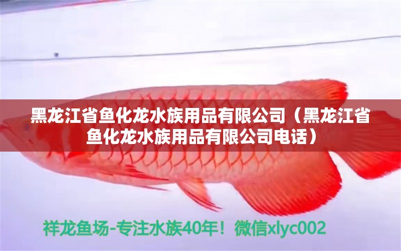 黑龙江省鱼化龙水族用品有限公司（黑龙江省鱼化龙水族用品有限公司电话） 水族用品