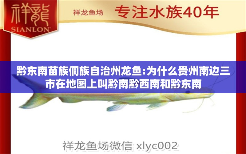 黔东南苗族侗族自治州龙鱼:为什么贵州南边三市在地图上叫黔南黔西南和黔东南