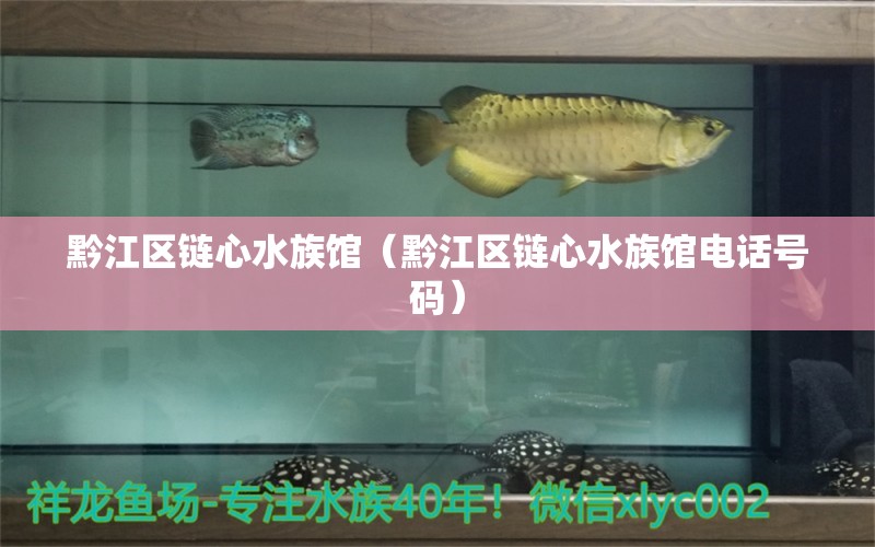 黔江区链心水族馆（黔江区链心水族馆电话号码）