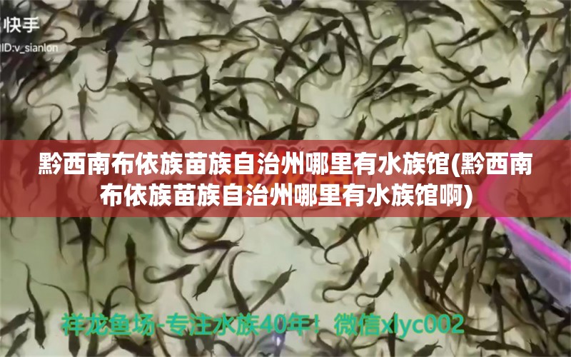 黔西南布依族苗族自治州哪里有水族馆(黔西南布依族苗族自治州哪里有水族馆啊)