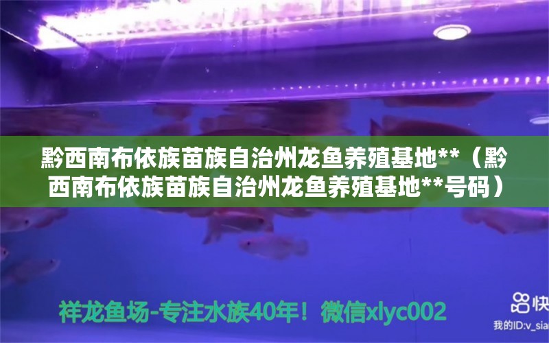 黔西南布依族苗族自治州龙鱼养殖基地**（黔西南布依族苗族自治州龙鱼养殖基地**号码）