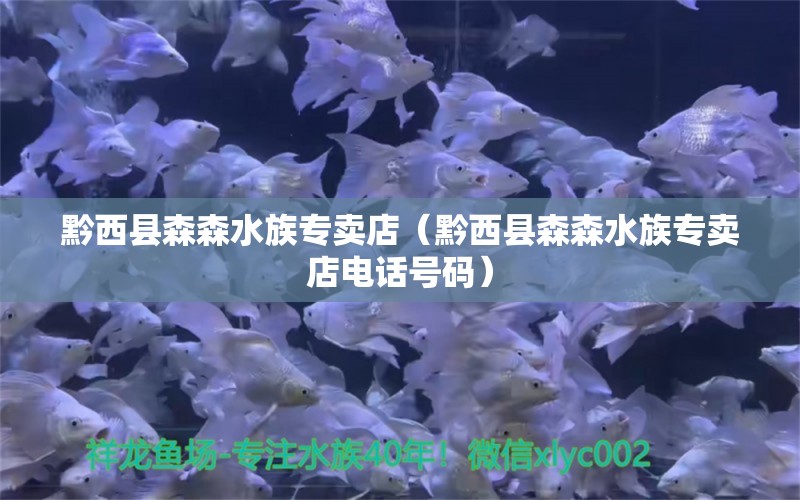 黔西县森森水族专卖店（黔西县森森水族专卖店电话号码） 全国水族馆企业名录