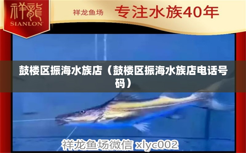 鼓楼区振海水族店（鼓楼区振海水族店电话号码） 全国水族馆企业名录