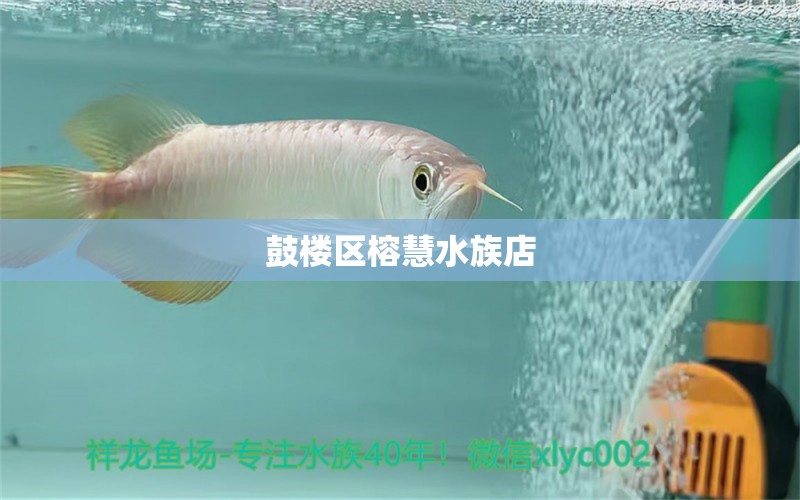 鼓楼区榕慧水族店