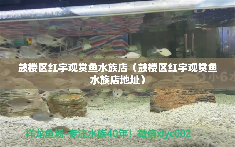 鼓楼区红宇观赏鱼水族店（鼓楼区红宇观赏鱼水族店地址）