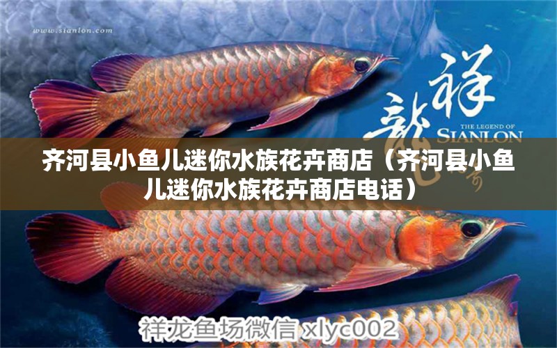 齐河县小鱼儿迷你水族花卉商店（齐河县小鱼儿迷你水族花卉商店电话） 全国水族馆企业名录