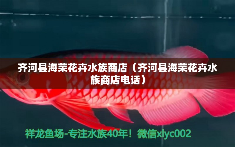 齐河县海荣花卉水族商店（齐河县海荣花卉水族商店电话）