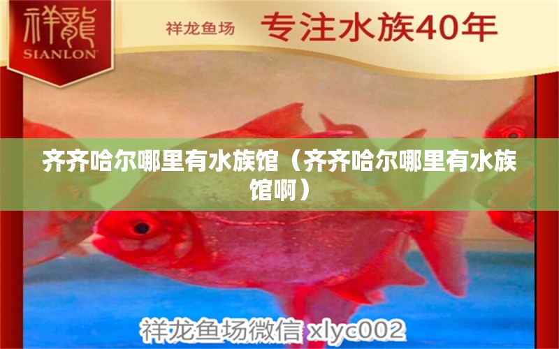 齐齐哈尔哪里有水族馆（齐齐哈尔哪里有水族馆啊）