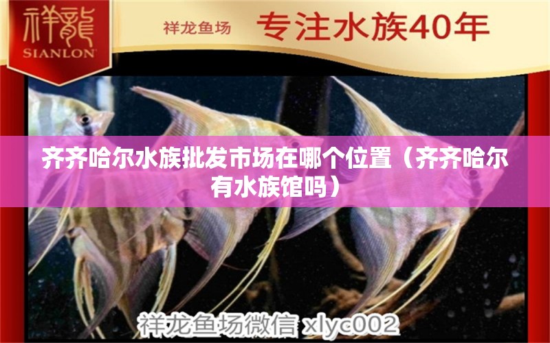 齐齐哈尔水族批发市场在哪个位置（齐齐哈尔有水族馆吗）