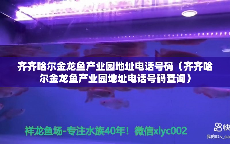 齐齐哈尔金龙鱼产业园地址电话号码（齐齐哈尔金龙鱼产业园地址电话号码查询） 祥龙水族医院