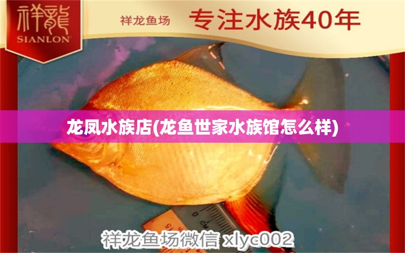 龙凤水族店(龙鱼世家水族馆怎么样)