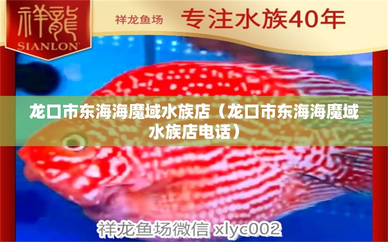 龙口市东海海魔域水族店（龙口市东海海魔域水族店电话） 全国水族馆企业名录