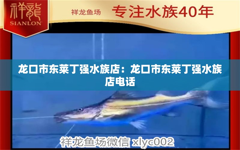 龙口市东莱丁强水族店：龙口市东莱丁强水族店电话 全国水族馆企业名录