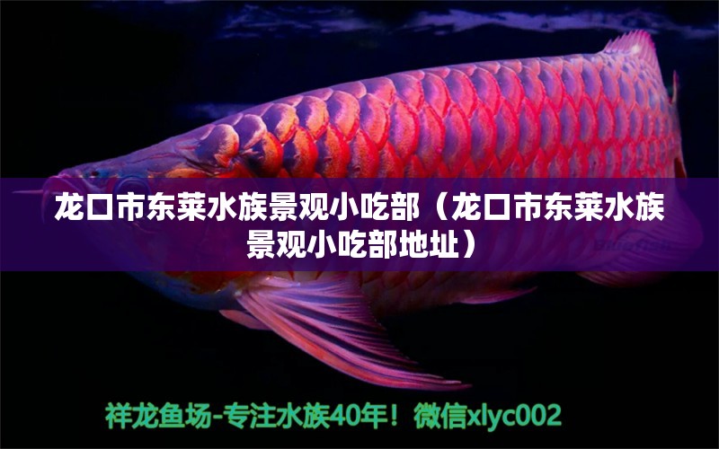 龙口市东莱水族景观小吃部（龙口市东莱水族景观小吃部地址） 全国水族馆企业名录