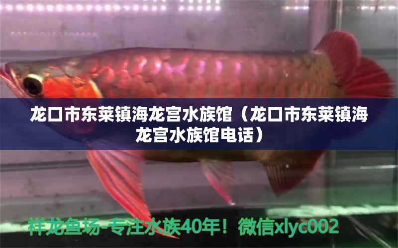 龙口市东莱镇海龙宫水族馆（龙口市东莱镇海龙宫水族馆电话） 全国水族馆企业名录