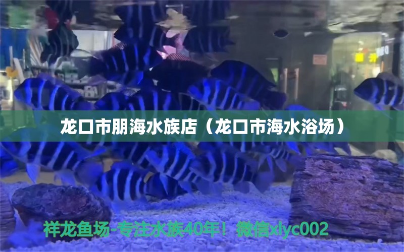 龙口市朋海水族店（龙口市海水浴场）