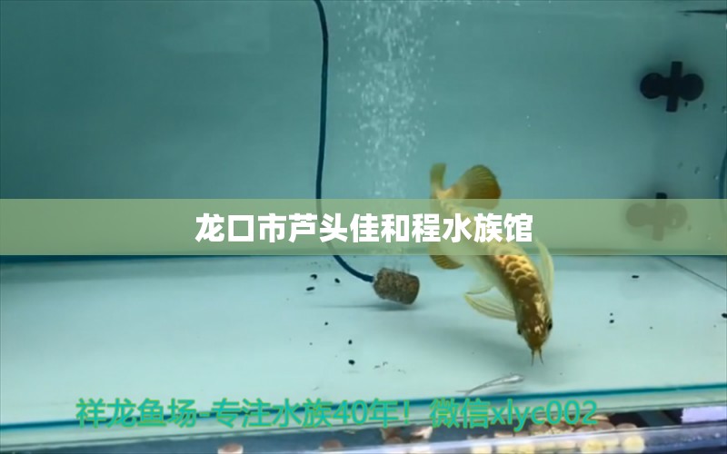 龙口市芦头佳和程水族馆 全国水族馆企业名录