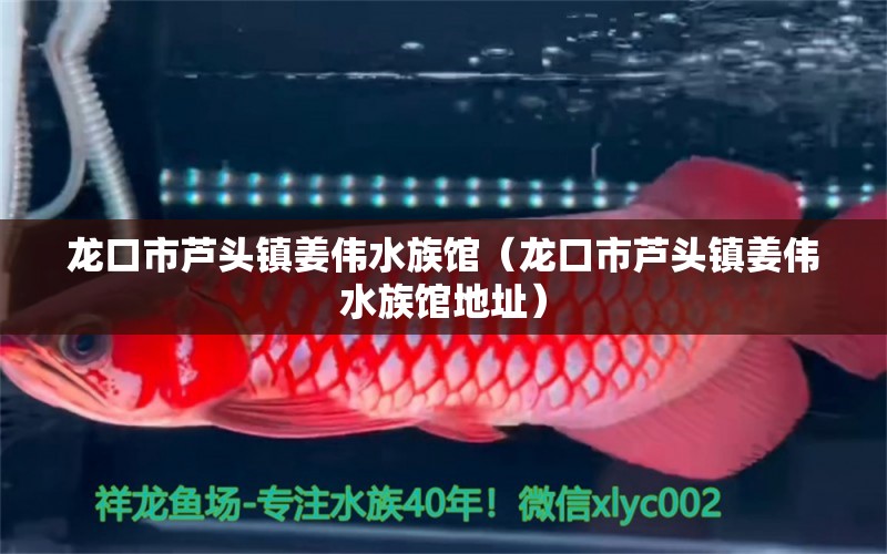 龙口市芦头镇姜伟水族馆（龙口市芦头镇姜伟水族馆地址） 全国水族馆企业名录