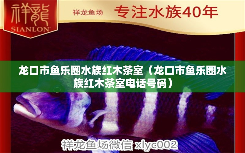 龙口市鱼乐圈水族红木茶室（龙口市鱼乐圈水族红木茶室电话号码）