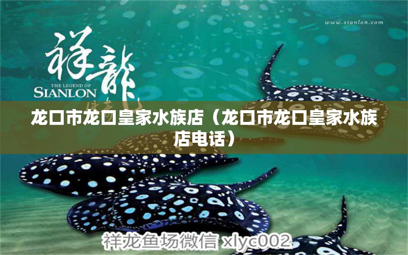 龙口市龙口皇家水族店（龙口市龙口皇家水族店电话） 全国水族馆企业名录