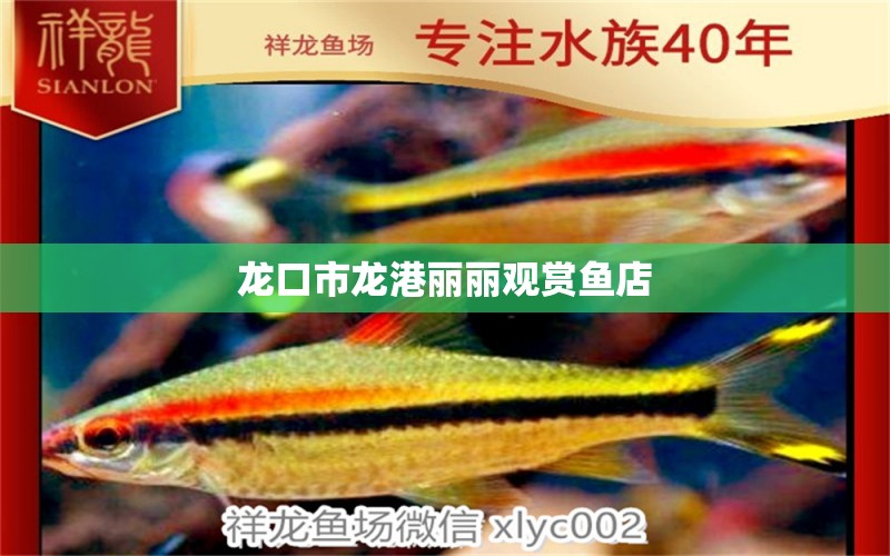 龙口市龙港丽丽观赏鱼店 全国水族馆企业名录