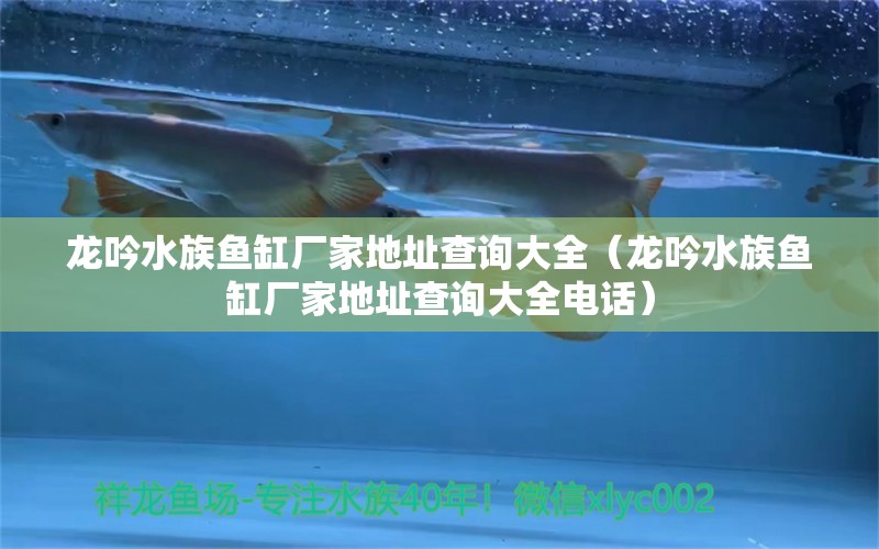 龙吟水族鱼缸厂家地址查询大全（龙吟水族鱼缸厂家地址查询大全电话）