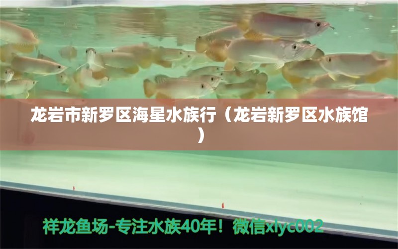 龙岩市新罗区海星水族行（龙岩新罗区水族馆）