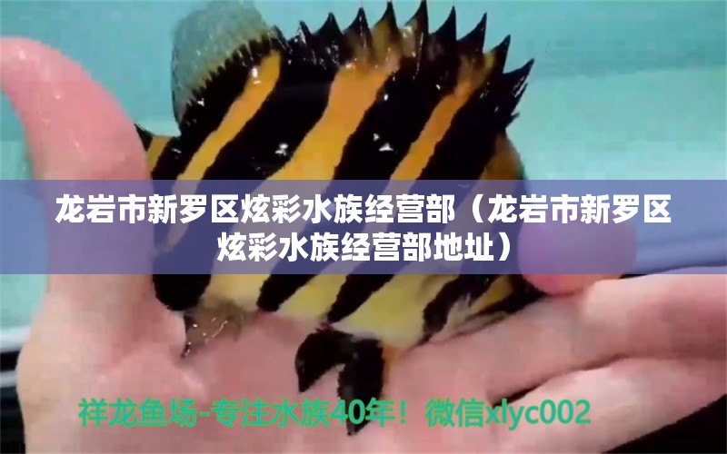 龙岩市新罗区炫彩水族经营部（龙岩市新罗区炫彩水族经营部地址）