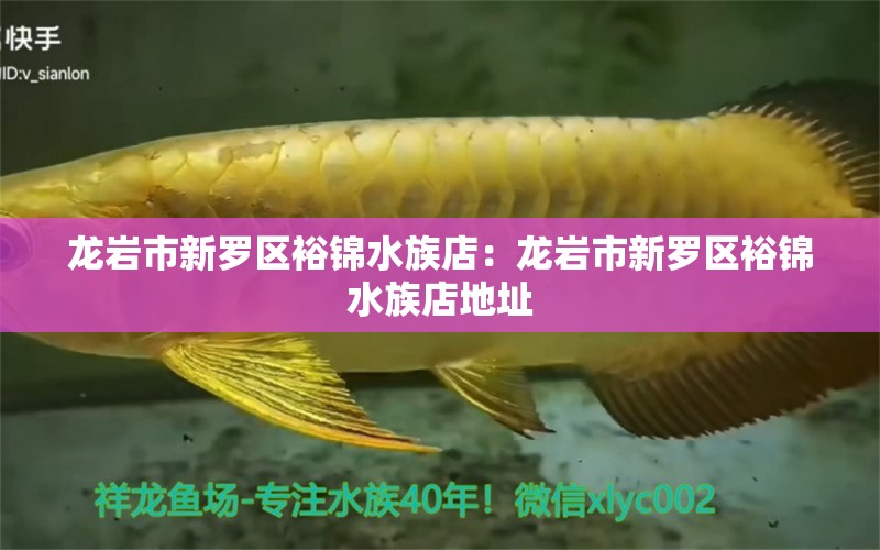 龙岩市新罗区裕锦水族店：龙岩市新罗区裕锦水族店地址 全国水族馆企业名录