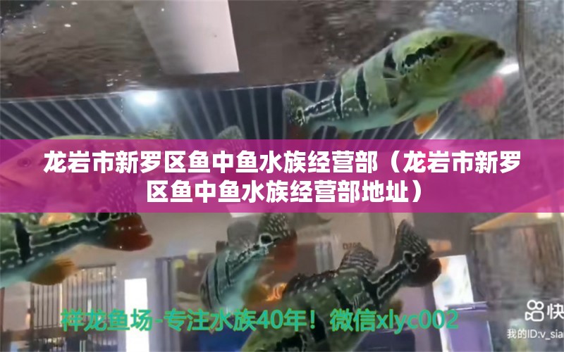 龙岩市新罗区鱼中鱼水族经营部（龙岩市新罗区鱼中鱼水族经营部地址）