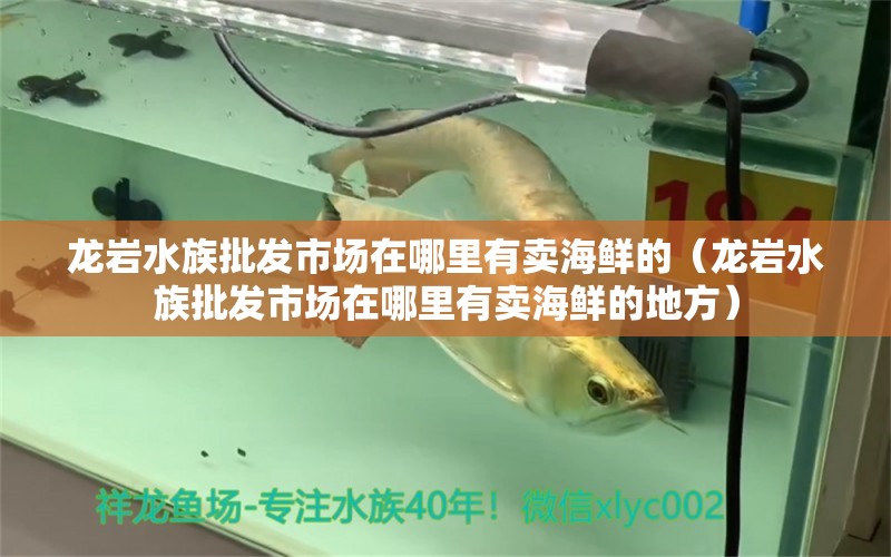 龙岩水族批发市场在哪里有卖海鲜的（龙岩水族批发市场在哪里有卖海鲜的地方） 观赏鱼水族批发市场