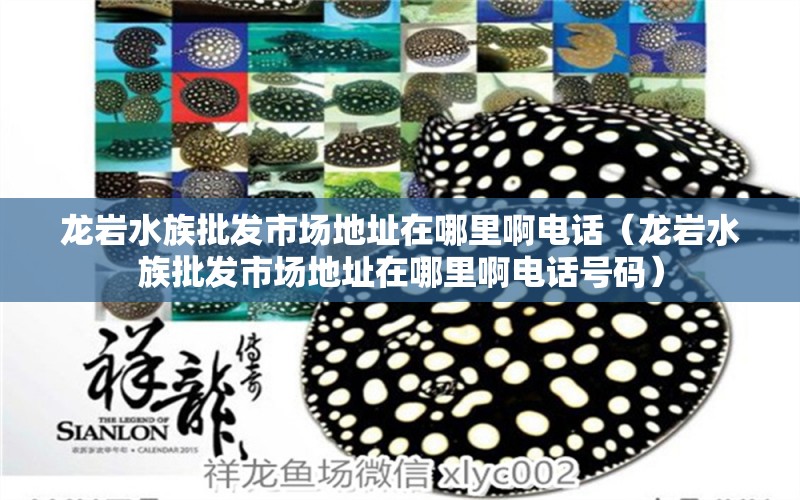 龙岩水族批发市场地址在哪里啊电话（龙岩水族批发市场地址在哪里啊电话号码）