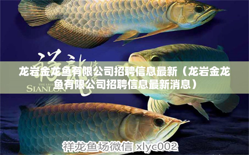 龙岩金龙鱼有限公司招聘信息最新（龙岩金龙鱼有限公司招聘信息最新消息）