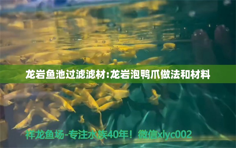 龙岩鱼池过滤滤材:龙岩泡鸭爪做法和材料 广州水族器材滤材批发市场