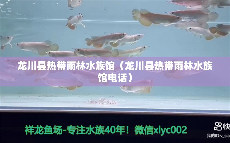 龙川县热带雨林水族馆（龙川县热带雨林水族馆电话）