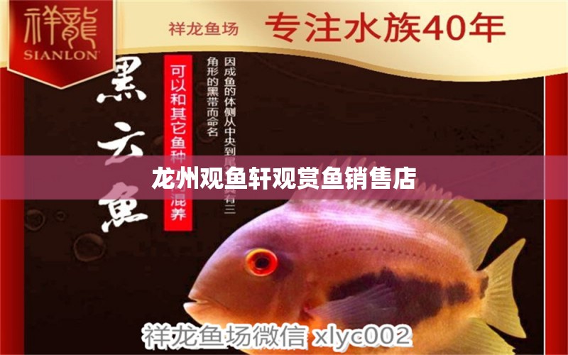 龙州观鱼轩观赏鱼销售店 全国水族馆企业名录 第2张