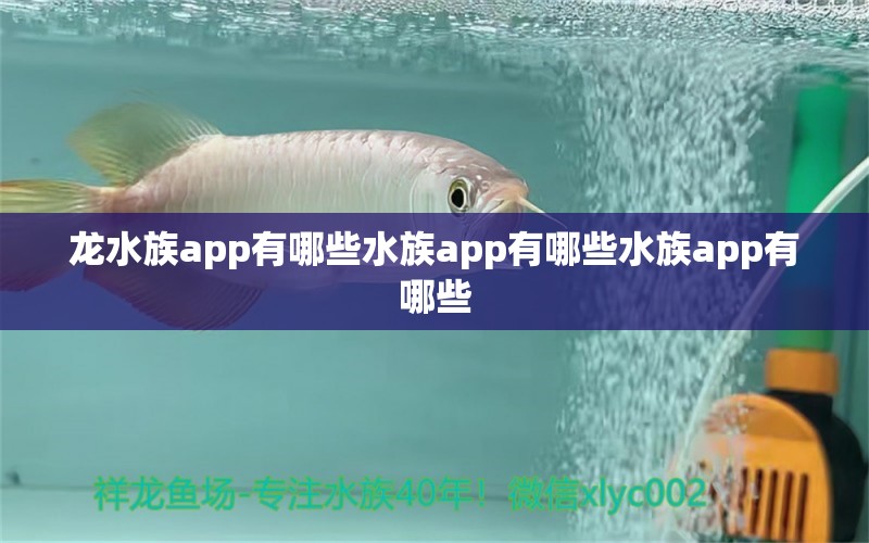 龙水族app有哪些水族app有哪些水族app有哪些 稀有金龙鱼