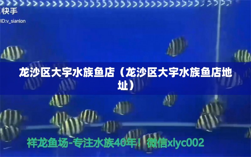 龙沙区大宇水族鱼店（龙沙区大宇水族鱼店地址）