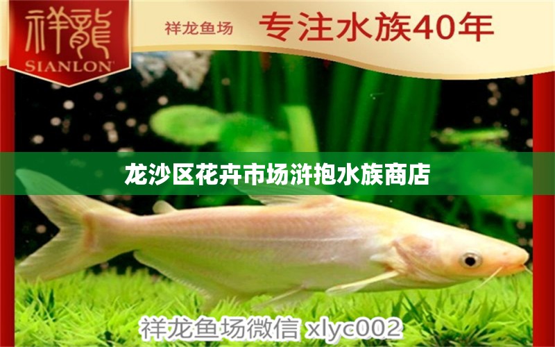 龙沙区花卉市场浒抱水族商店 全国水族馆企业名录