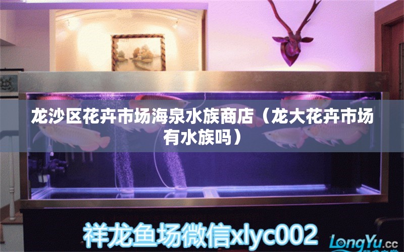 龙沙区花卉市场海泉水族商店（龙大花卉市场有水族吗） 全国水族馆企业名录