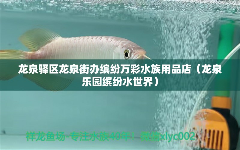 龙泉驿区龙泉街办缤纷万彩水族用品店（龙泉乐园缤纷水世界）